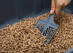 Dłoń z łopatką do żwirku przesypuje pellet z trocin w pojemniku.