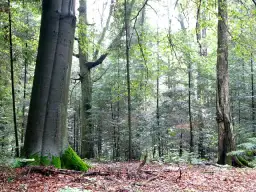 Rezerwaty przyrody w województwie łódzkim – odkryj ich niezwykłe piękno