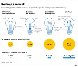 Gdzie wyrzucić żarówki? Rodzaj ma znaczenie! Poradnik eksperta