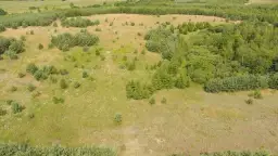 Czy pastwisko jest gruntem rolnym? Sprawdź jego znaczenie i klasyfikację