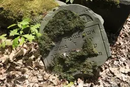 Co oznaczają kamienie na pomniku? Odkryj ich głębokie znaczenie