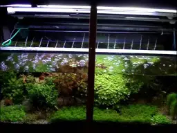 Jak prawidłowo zamontować deszczownicę w akwarium - skuteczne napowietrzanie wody