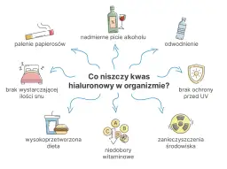Kwas hialuronowy i alkohol: dlaczego to złe połączenie?