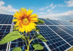 Czernikowo elektrownia słoneczna: jak wpływa na energię i środowisko