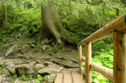 Droga pod Reglami początek. Drewniany mostek prowadzi przez skalisty, zalesiony teren.