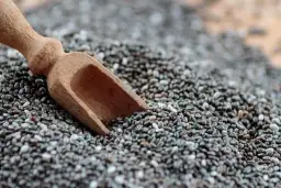 Nasiona chia: Korzyści, dawka dzienna i skutki uboczne. Sprawdź!