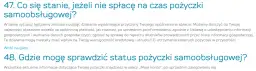 Provident: Jak sprawdzić zadłużenie? Konto, infolinia, doradca