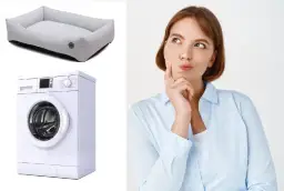 Jak prać legowisko psa, aby uniknąć nieprzyjemnych zapachów i zniszczeń