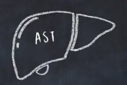 Rysunek wątroby z napisem AST. To badanie pomaga ocenić jej stan.