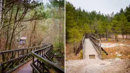 Góry Świętokrzyskie: TOP atrakcje, szlaki, zamki i parki dla rodzin