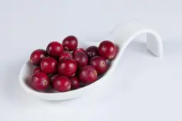 Czy żurawina dla psa jest bezpieczna? Korzyści i ryzyko