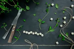 Na czarnym tle leżą świeże zioła, nóż i litery tworzące słowo "MAJERANEK". Czy do strogonowa dodaje się majeranek?