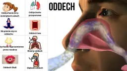 Jak ćwiczyć przeponę, aby poprawić oddychanie i zredukować stres