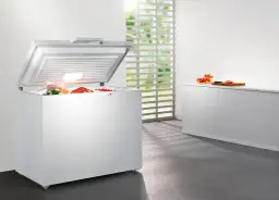 Zamrażarka w garażu: czy Twoja przetrwa polską zimę?