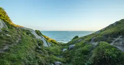 Co znaczy prawilnie? Sens tego słowa wyjaśniony w pełni