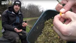 Morwa na ryby: Tajna broń wędkarza? Jak łowić skutecznie.