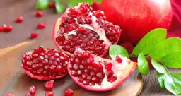 Czy pies może jeść granata? Sprawdź, jakie są zagrożenia i zasady podawania