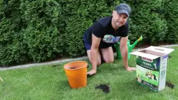 Skuteczne metody na perz w trawniku - jak go zwalczyć raz na zawsze