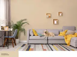 Złoty retriever na kanapie w przytulnym salonie. Ściany w kolorze P06 Wyrozumiała z palety kolorów farb do ścian Śnieżka.