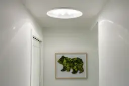 Świetlik dachowy: Jasny dom, niższe rachunki. Jak wybrać i zamontować?