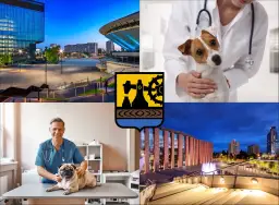 Wesoły weterynarz z mopsikiem i pieskiem. Dowiedz się, ile kosztuje wizyta z kotem u weterynarza.