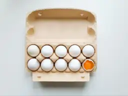 Pudełko z jajkami, jedno rozbite. Czy jajka są wegetariańskie po angielsku? To pytanie nurtuje wielu.