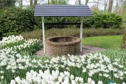 Jak zamaskować studnię w ogrodzie - praktyczne i estetyczne rozwiązania