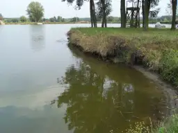 Łowisko 3 Stawy Goryń Radom - Idealne miejsce na wędkarską przygodę