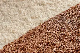 Ryż czy kasza dla psa? Co wybrać dla zdrowia i trawienia?