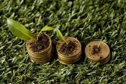 Po ile jest ekogroszek? Ceny i zmiany na rynku opału w Polsce