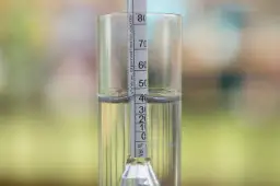 Jak sprawdzić moc nalewki? Twój alkoholomierz kłamie! Oblicz to