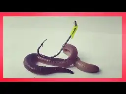 Jak założyć czerwonego robaka? Mój patent na więcej brań!