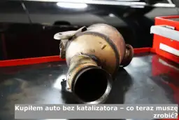 Katalizator w dieslu od którego roku? Kluczowe informacje o normach emisji