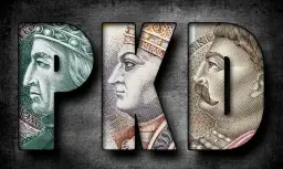 Ryczałt 15 jakie PKD – sprawdź, które kody pozwalają oszczędzać