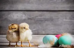 Jak jest po angielsku wielkanoc? Poznaj znaczenie i tradycje