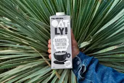 Napój owsiany barista: Ranking 2024, test smaku i sekrety pianki