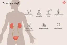 Urolog czy nefrolog? Kiedy do kogo z chorobą nerek?