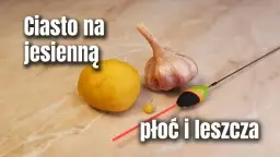 Jak zrobić ciasto na ryby, które naprawdę przyciąga ryby