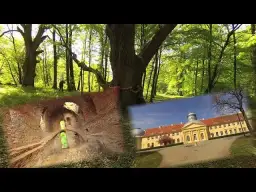 Zamek w Miliczu: Historia, ruiny i tajemnice zapomnianego miejsca