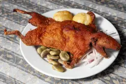 Gdzie jedzą świnki morskie? Zaskakujące fakty o ich spożyciu