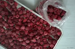 Jak mrozić maliny, by były sypkie i pełne smaku?