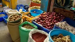 Co kupić na Dominikanie? Skarby wyspy, ceny i jak uniknąć pułapek