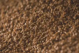 Słód jęczmienny na laktację: jak stosować? Praktyczny poradnik