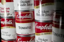 Gdzie kupić zupę Campbell w Polsce? Sprawdź najlepsze sklepy!