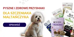 Jakie smakołyki dla szczeniaka? Wybierz mądrze! Porady eksperta