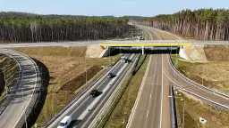 Widok z lotu ptaka na drogę ekspresową z mostem, samochodami i lasem w tle.