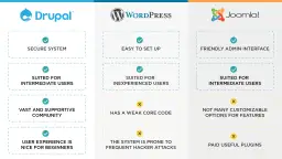 Drupal czy WordPress - który CMS jest lepszy dla Twojego projektu?