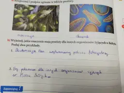 Jakie znaczenie mają protisty dla życia w Bałtyku i jego organizmów?