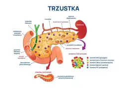 Ból trzustki: objawy, przyczyny i kiedy szukać pomocy?