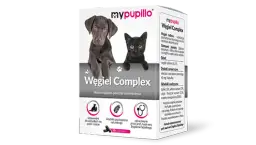 Czy pies może jeść węgiel? Poznaj prawdę i skutki podawania węgla psu